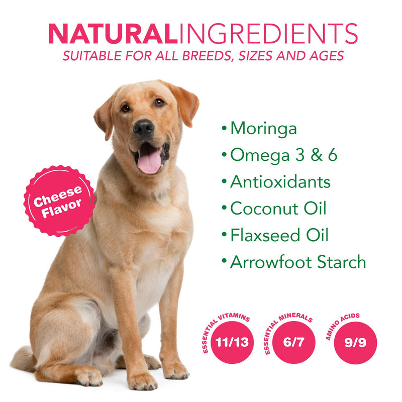 6 in 1 Superfood Dog Supplement with Organic Moringa | Treats for Immune System and Overall Health | Pets All Natural Multivitamins - 90 Chews - PawsPlanet Australia