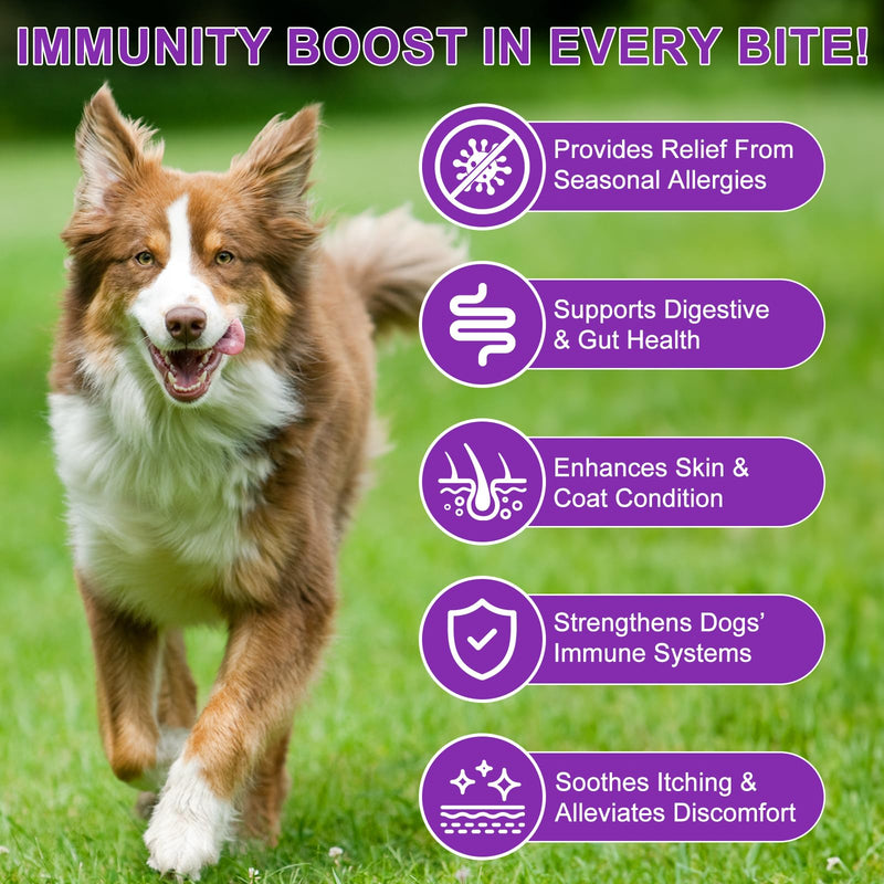 Dog Allergy Relief Chews, Dog Allergy Relief Treats for Itching Skin, Anti-Itch for Dogs, Immune Supplement, Seasonal Allergies, All Breeds and Sizes - 120 Grain