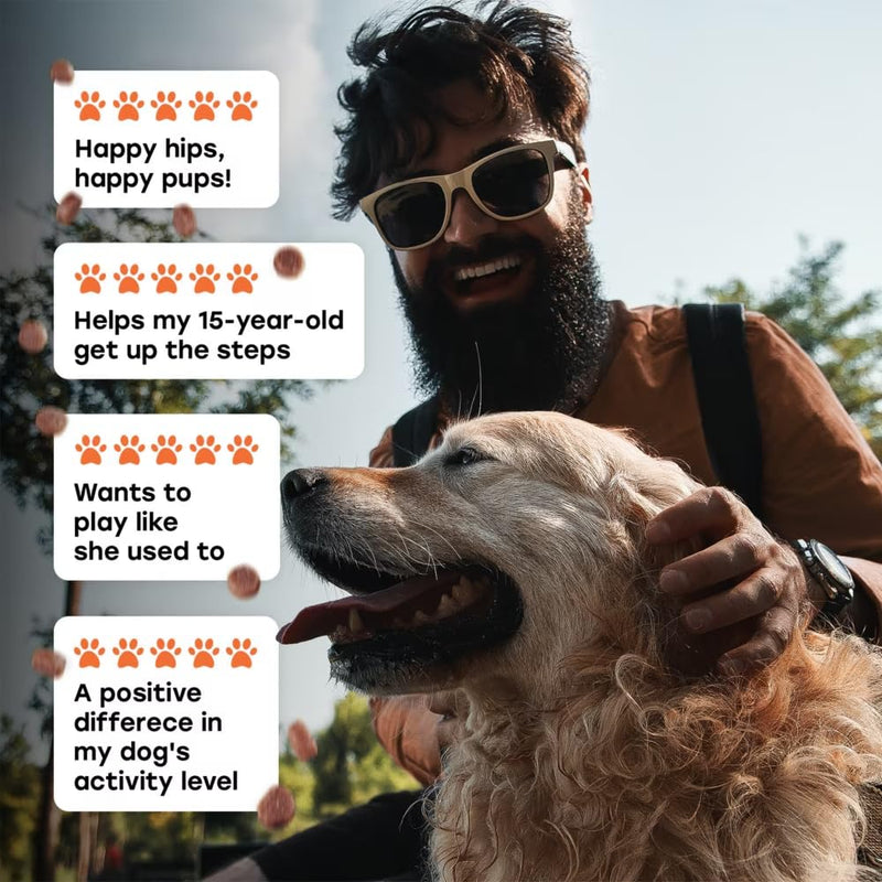 Glucosamine Chondroitin for Dogs – Hip and Joint Supplement with MSM, Hemp & Turmeric – Advanced Mobility Chews for Senior & Large Breed Dogs, Joint Pain Relief, Beef Flavor Hip & Joint Support - Beef 1 Pack