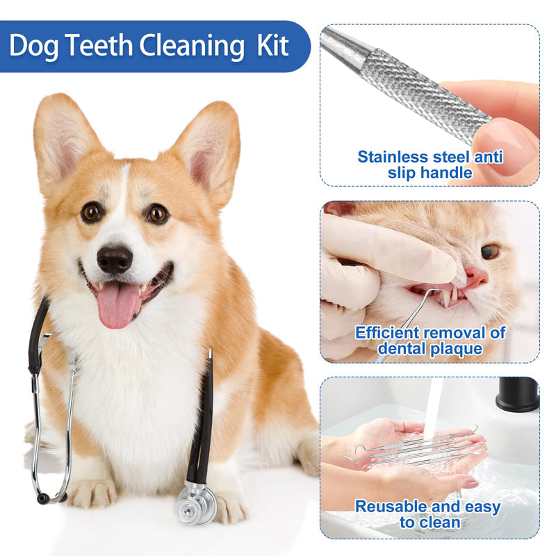 4 Pack Stainless Steel Pet Dental Tools for Dogs and Cats, Professional Tartar Remover Scraper Kit for Teeth Cleaning, Plaque and Calculus Control, Oral Care Hygiene for Home or Vet Use