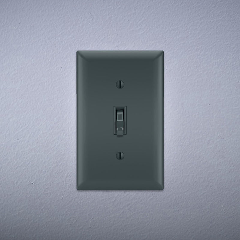 Legrand Pass & Seymour 660BKG Trademaster 15 Amp Single Pole Toggle Light Switch, Residential Grade, Black (1 Count) 1