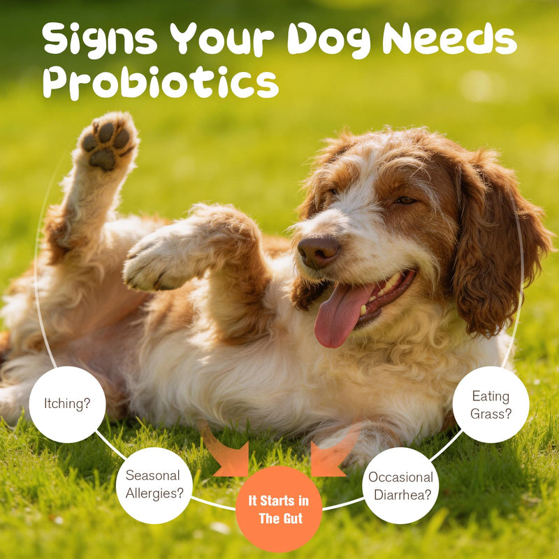 Probiotics for Dogs,Dog Probiotics 120 Soft Chews,Digestive Enzymes for Gut Flora, Dog is Human Digestive Enzymes Relieve Diarrhea Immunity Oral Problems Itching Constipation
