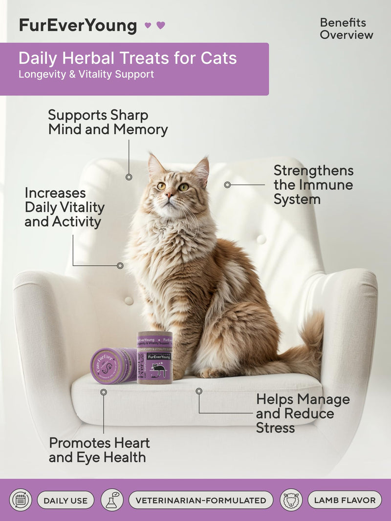 Supplement Treats for Senior Cats ~ Cognitive Support | Premium Feline Longevity Stack | Lion's Mane Mushroom + Taurine Complex | Brain & Vision Formula from Wellness Science | Lamb Flavor