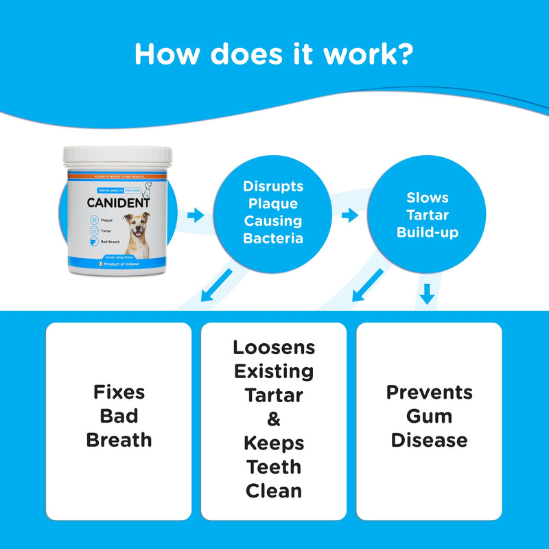 Seaweed Dental Supplement for Dogs, Natural Plaque and Tartar Control, Bad Breath Eliminator 150g Plastic Tub