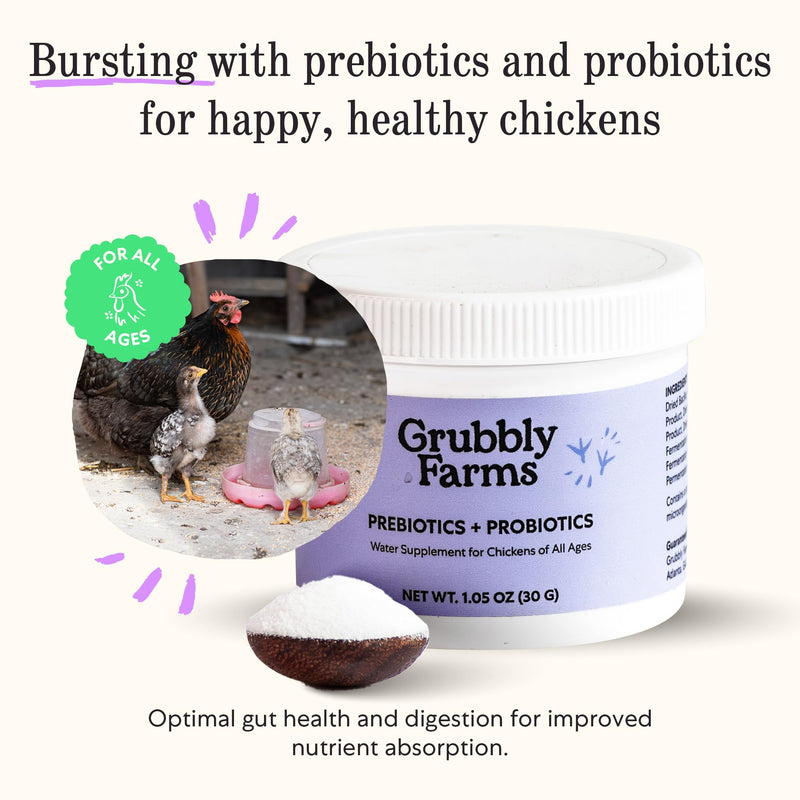 Grubbly Farms Prebiotics + Probiotics for Chickens (30 Day) 30 Day