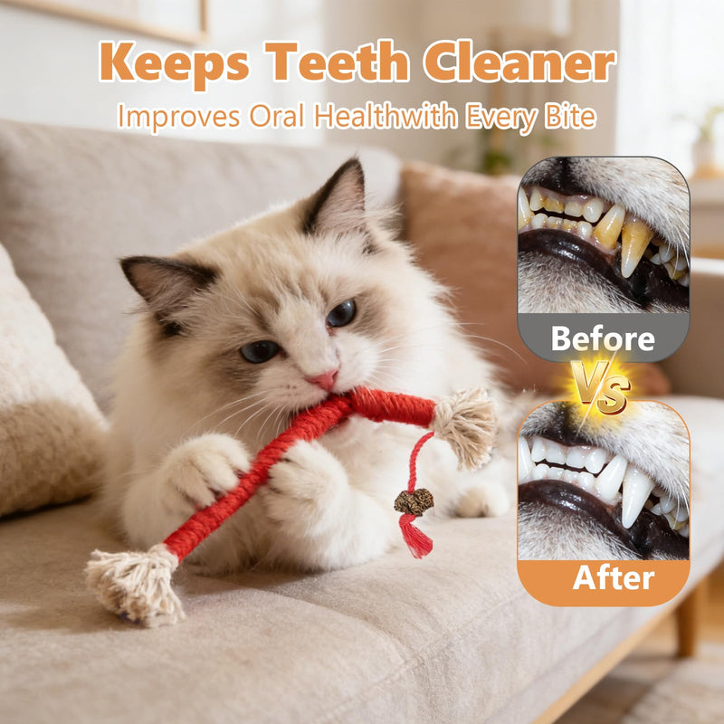23.6In Cat Chew Ropes Toy - 6 Pack Silvervine Interactive Nip Kicker Toy Catnip Kicker Interactive Kitten Teething to Redirect Chewing for Indoor Cats to Promote Oral,Dental Health
