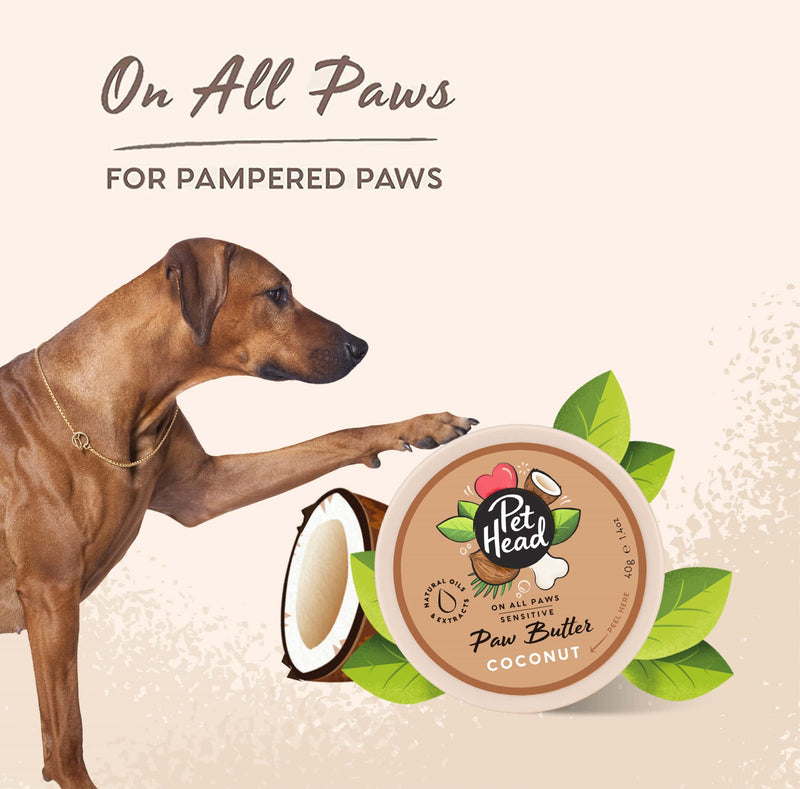 Pet Head On All Paws Coconut Paw Butter | Soothes & Nourishes for Soft Crack-Free Paws and Noses | Paw Moisturizer Balm | Vegan | Lick-Safe | Gentle Formula for Puppies | Made in USA | 1.4 oz. - PawsPlanet Australia