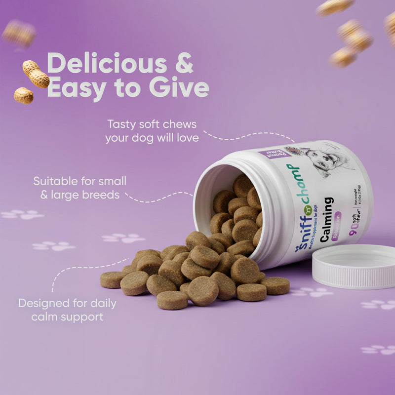 SNIFF 'N' CHOMP Dog Calming Chews, Peanut Butter Flavor, Natural Anxiety Relief with L-Theanine Chamomile Valerian Melatonin, Stress Support for All Breeds, Calming Dog Treats | 90 Soft Chews