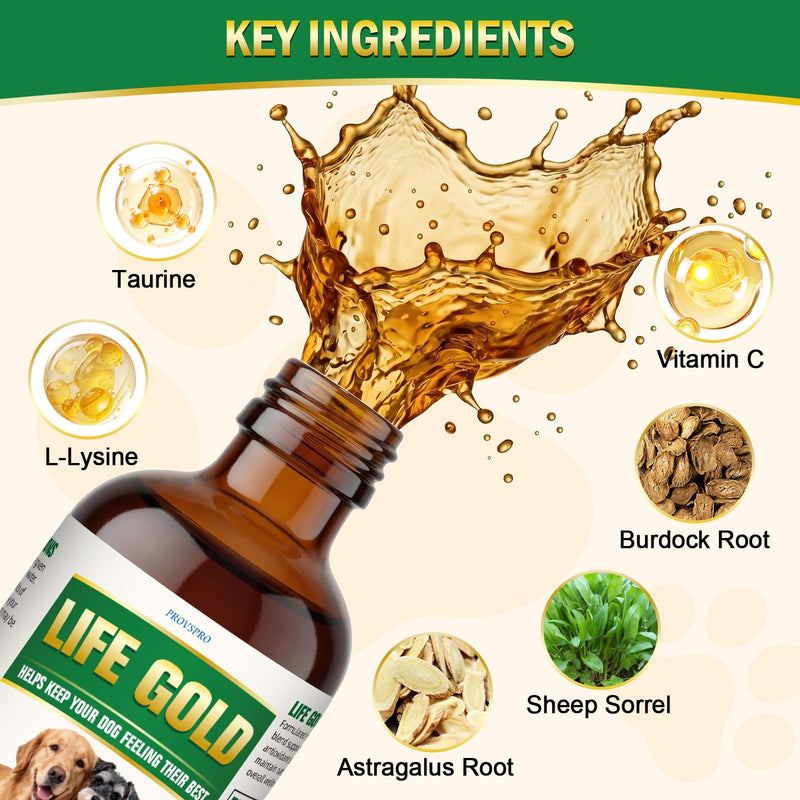 Life Gold for Dogs, Immune Support Liquid Supplement for Senior Dogs, Herbal Antioxidant & Daily Wellness Formula with Astragalus, Sheep Sorrel & Burdock Root, Vet Formulated, 2 fl oz