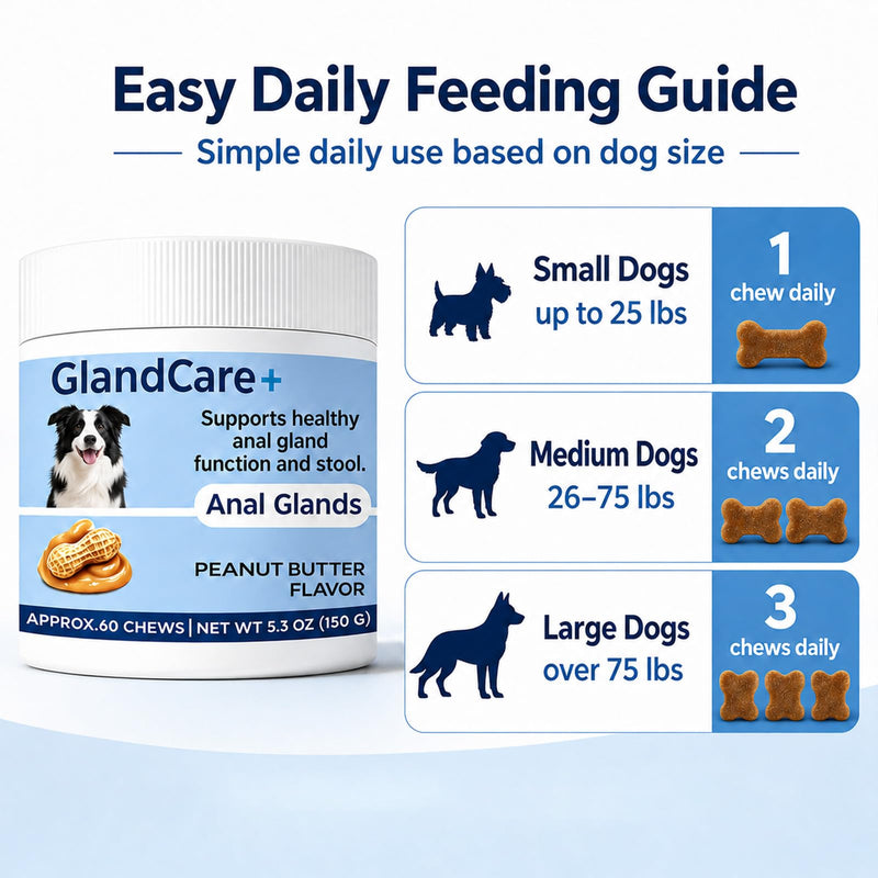 GlandCare+ Anal Gland Chews for Dogs - Pumpkin Seed, Psyllium Husk & Probiotics - Peanut Butter Flavor - Relieves Scooting & Odor - Digestive Health & Stool Support Supplement - 60 Count