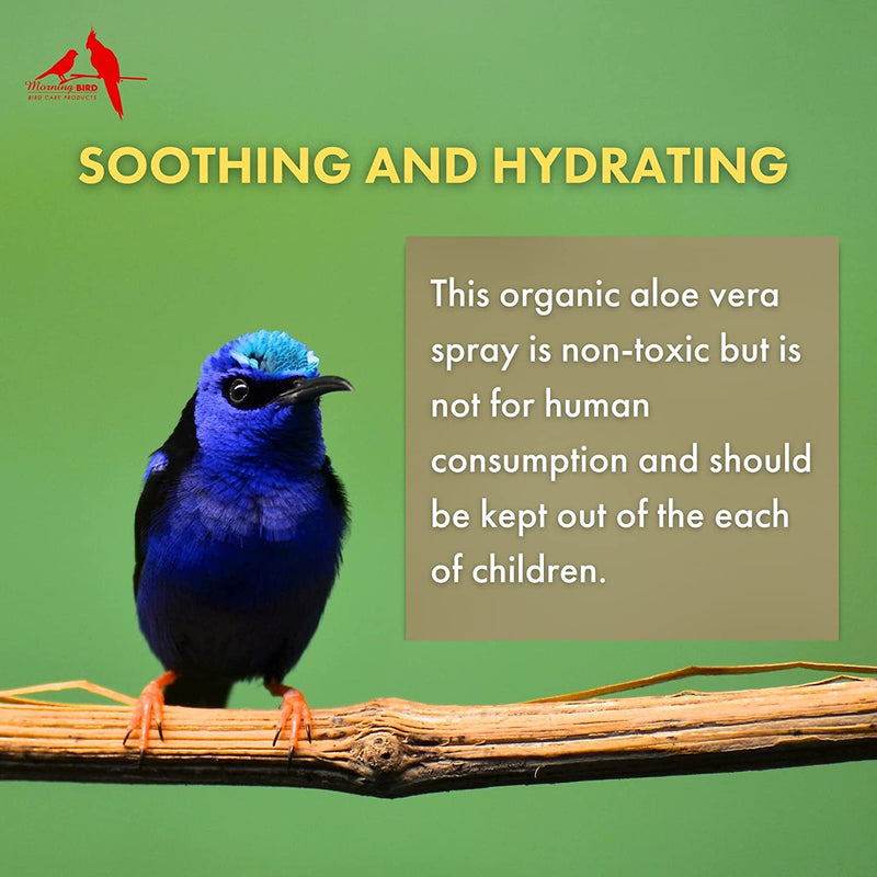 Morning Bird Organic Aloe Vera, Non-Toxic Bird Spray, Soothing and Hydrating, 8 Fl Oz 8 Fl Oz (Pack of 1) - PawsPlanet Australia