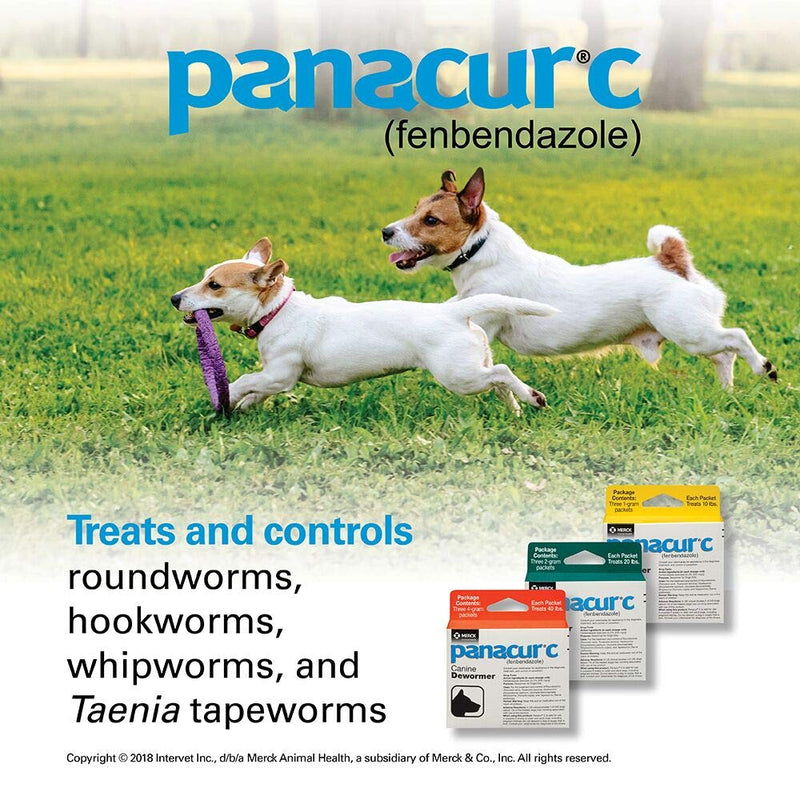 Panacur C Canine Dewormer (Fenbendazole), 1 Gram, Yellow, 3 Count (Pack of 1) - PawsPlanet Australia