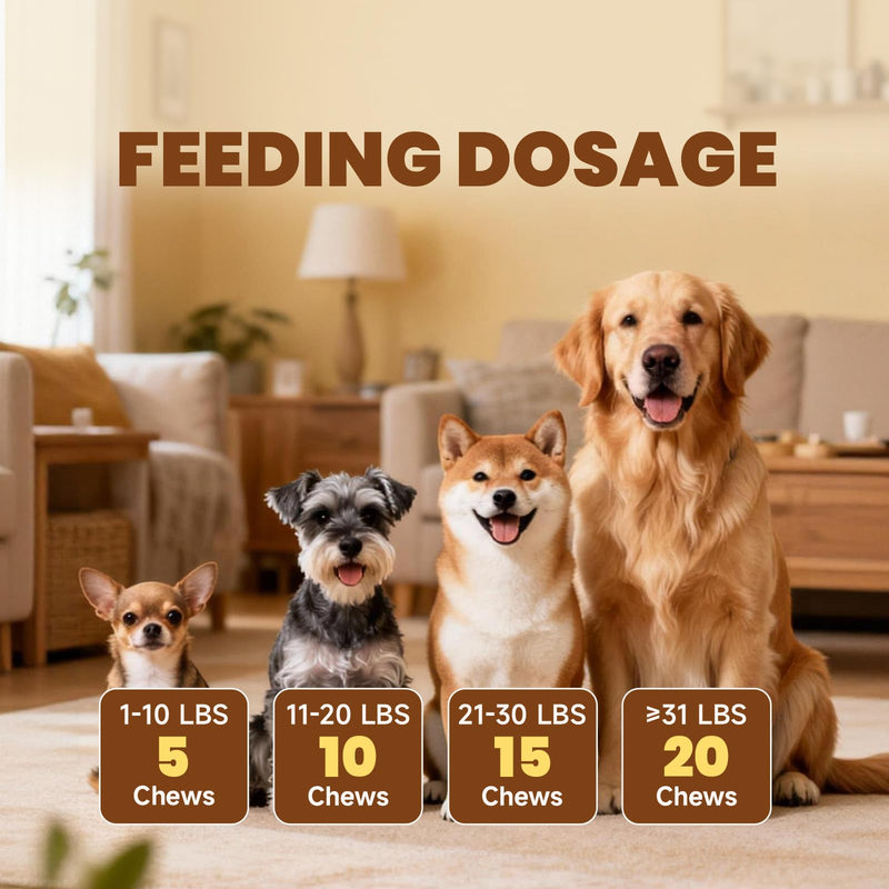 Cat L-Lysine Drops & Dog Mushroom Chews - for Cat Feline Respiratory, Sneezing, Runny Nose, Eye Function - for Dog Gut, Hip, Joint, Skin, Coat, Immune Health