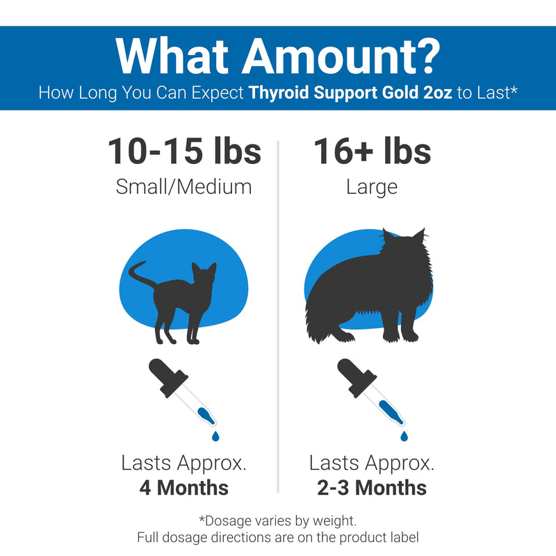 Pet Wellbeing Herbal Thyroid Support for Cats - Hyperthyroidism in Cats + Healthy Thyroid + Normal Appetite & Thirst + Healthy Coat - Liquid Supplement with Lemon Balm, Rehmannia root, Skullcap - 2 oz - PawsPlanet Australia
