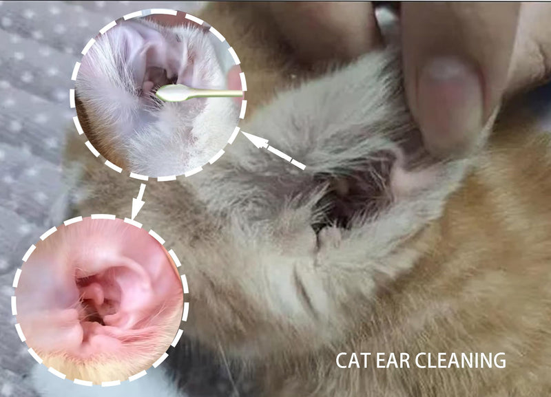 Large Q Tips for Dogs Ears, 6 Inch Cotton Swabs for Cleaning Large Dogs Ear, Long Q Tips Pet Cotton Buds for Dog Ear Care, Apply Medicine, CleanWound (100) 100 - PawsPlanet Australia