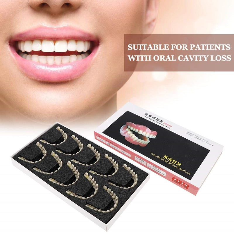 ZJchao 280pcs/10 Set Resin Denture False Teeth, Dental Teeth Teaching Model, Resin Denture for Patients with Oral Cavity Loss,Dental Supply Accessory