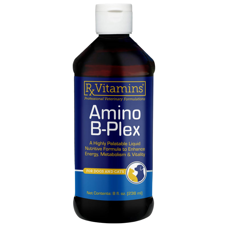 Rx Vitamins Amino B-Plex Cat & Dog Supplement - Vitamin B Complex Liquid Plus Amino Acids for Dogs & Cats - Appetite Booster and Cat & Dog Weight Gainer - Supplements & Vitamins - 8 oz 8oz