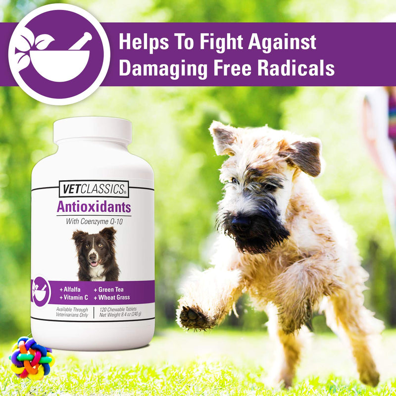 Vet Classics Antioxidants with Coenzyme Q-10 for Dogs, with Alfalfa, Green Tea, Vitamin C, & Wheat Grass, 120 Chewable Tablets - PawsPlanet Australia