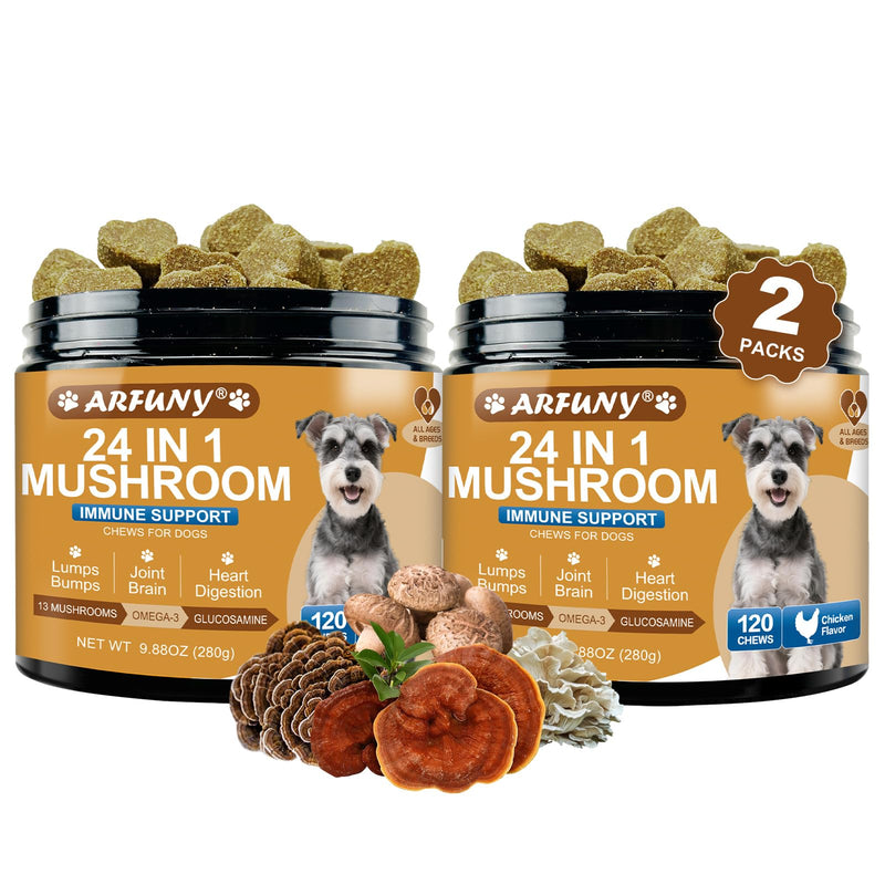 2-Pack Mushroom Supplement for Dogs - Turkey Tail Mushroom for Dogs Lumps, Bumps, Gut, Skin, Joint, Immune Health - 13 Organic Mushrooms Turkey Tail, Reishi, Lions Mane, Glucosamine, MSM, Vitamins 2 Packs
