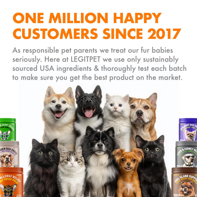 Pumpkin Powder for Dogs Digestive & Stool Support Fiber Blend with Pumpkin, Pumpkin Seed & Apple Helps Support Firm Stool, Gut Health & Regular Digestion 60 Scoops