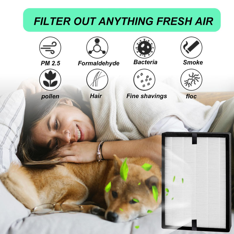 HP700 Replacement Filter Compatible with Hunter HP700 Series