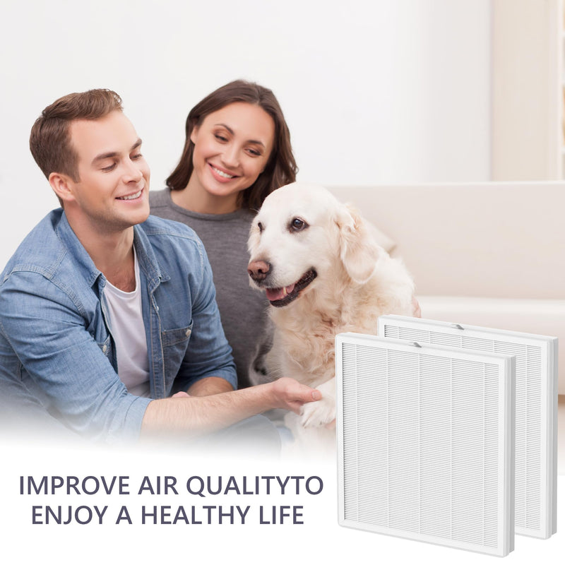 Replacement Filter Compatible with LAMPICK Cleaner-A6 Air Purifier, 4-in-1 Air Filter Replacement, 2 Pack Original Filter