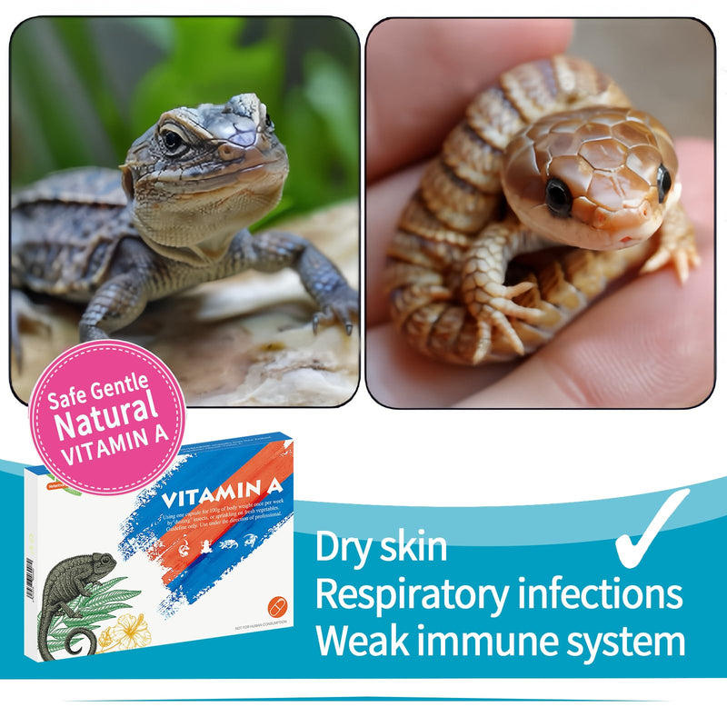 Vitamin A Supplement for Reptiles and Amphibians, 30 Capsules. - PawsPlanet Australia