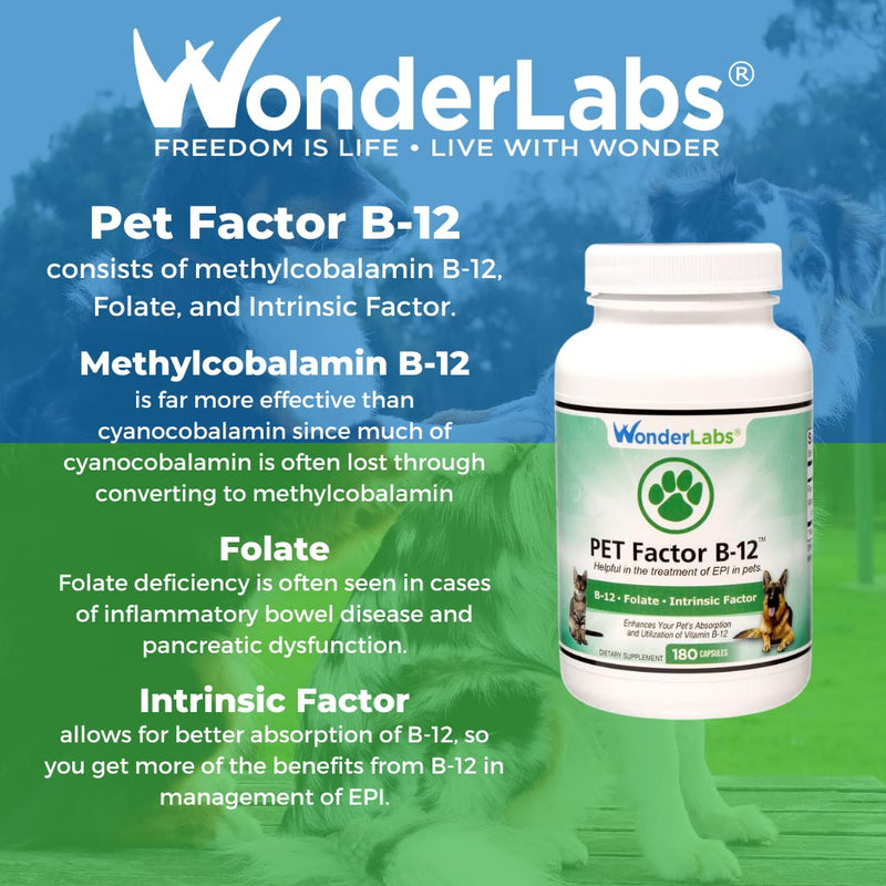 WonderLabs Pet Factor B-12 | Vitamin B-12 in Methylcobalamin Form | Popular in Treatment of EPI in Dogs 180 - NewNest Australia