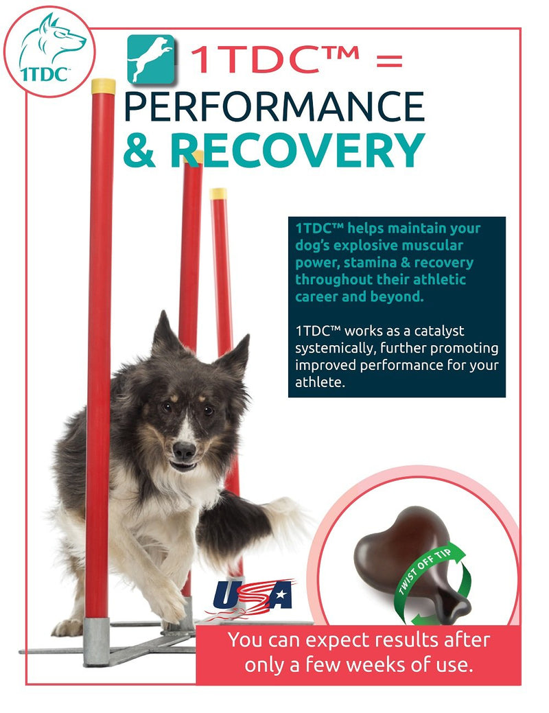 1TDC Dual Action Natural Support – Twist Off Soft Gels – Delivers 4 Major Health Benefits for Dogs & Cats – Supports Oral Health, Hip & Joint Health, Muscle & Stamina Recovery, Skin & Coat Health 30 - PawsPlanet Australia
