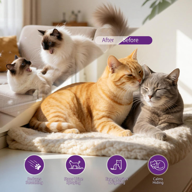 Cat Calming Pheromone Diffuser Set (120-Day Supply) – 2 Diffusers + 4 x 48ml Refills – Helps Reduce Urine Spraying, Scratching & Fighting – Unscented Stress Relief for Multi-Cat Homes