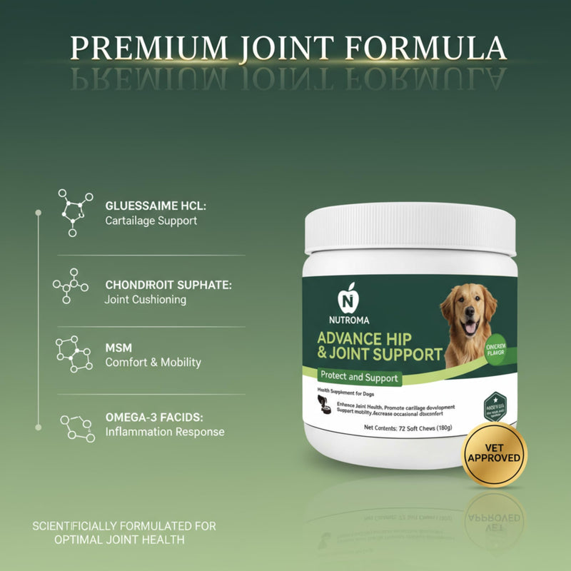 Dog Joint Supplement – Advanced Hip & Joint Support Soft Chews with Glucosamine, Chondroitin, MSM, Omega 3 & Green Lipped Mussels – Chicken Flavor Mobility & Cartilage Health – 72 Count