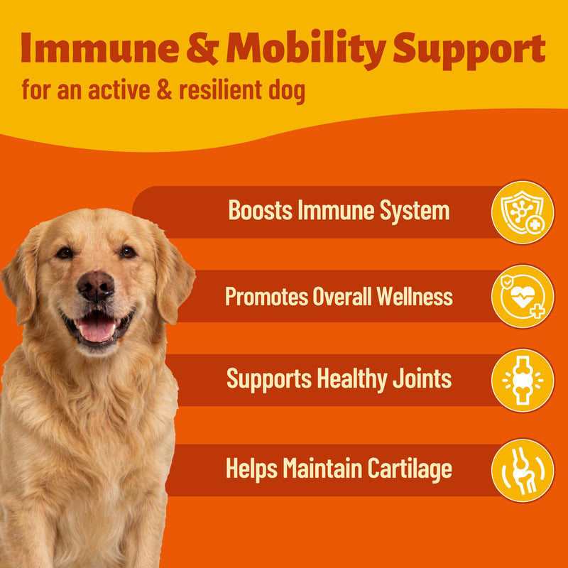 Mushroom Supplement for Dogs - Supports Antioxidant & Immune Defense, Gut, Skin, Joint & Urinary Tract Health, 7-Mushroom Complex (Turkey Tail, Lion's Mane, Reishi & 4 Others) – 330 Chews