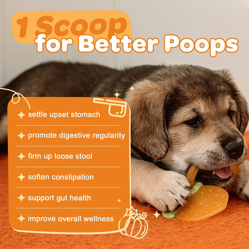 ZEBORA Pumpkin Powder for Dogs & Dog Dental Powder