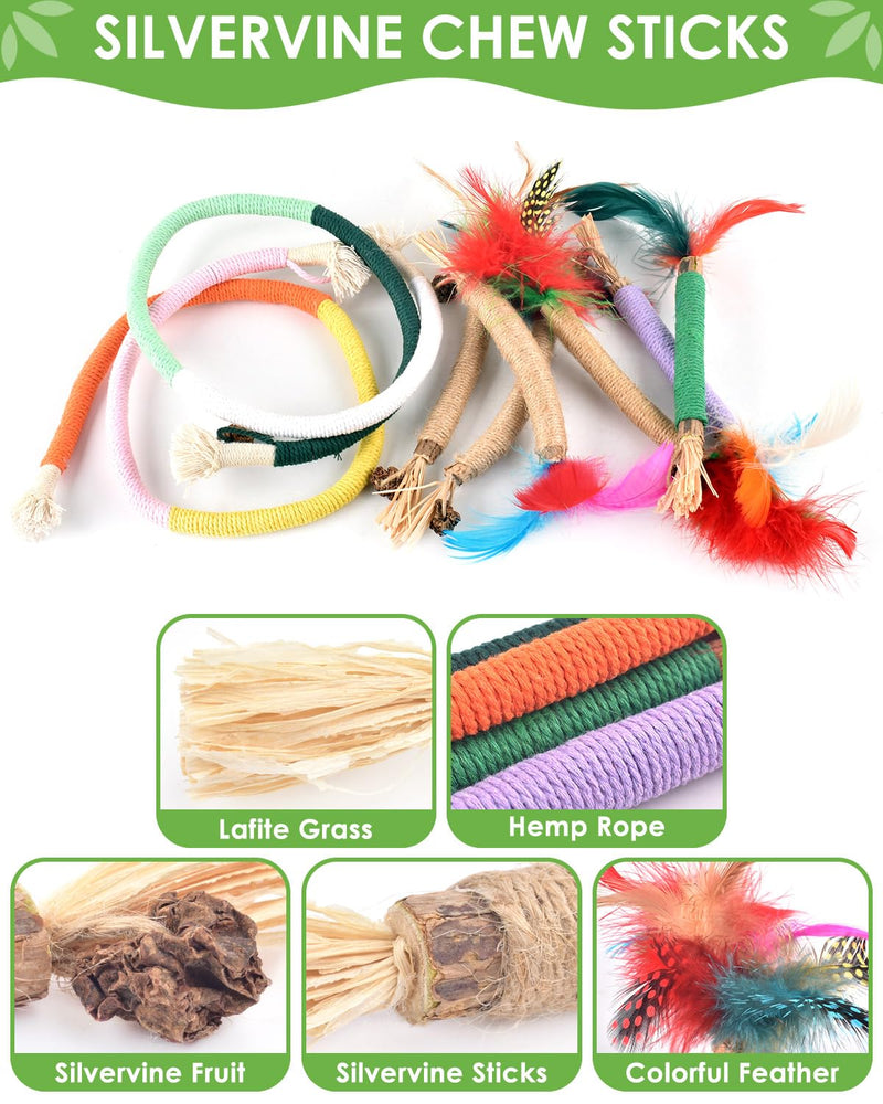 TINDTOP Cat Chew Toys, Silvervine Chew Sticks with 2 Pack Chew Ropes | for Kittens Teeth Cleaning, Increase Appetite, Aggressive Chewers Cat Dental Toy 14 Pack