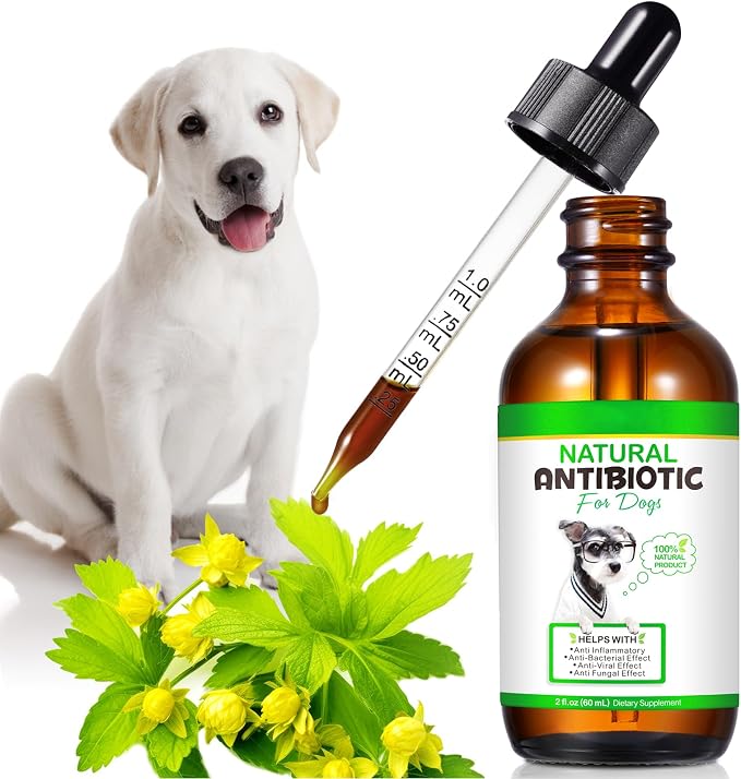 Dogs Antibiotics for Infection Coughs, UTIs, Allergies, Itching - Natural Antibiotics Supplement Drops for Cats to Support Digestion and Urination | Skin & Coat | All Breeds & Ages | 2 Oz