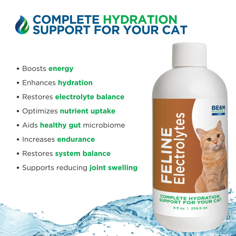 Beam Minerals Complete Feline Electrolytes | Full-Spectrum Electrolytes for Cats | 8 Fl Oz
