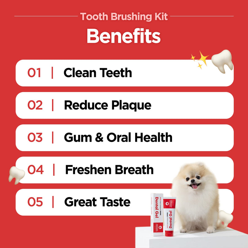 JAYU PET Firm Bristles Tooth Brushing Kit - Dental Gel 1ea + Dental Care Brush 1ea | Teeth Cleaning & Breath Freshener, Removing Plaque and Tartar, Pet Dental Hygiene, Dog Easy Teeth Brushing