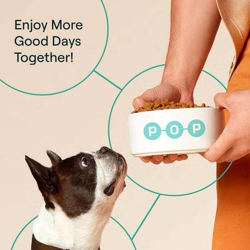 POP-Topper Dog Food Meal Toppers – Multivitamin Powder for Dogs Under 35 lbs - Delicious Bone Broth Base with 6 Human-Grade Superfoods - Supports Joints, Gut, Skin & Coat - 30 Packets Pack of 30
