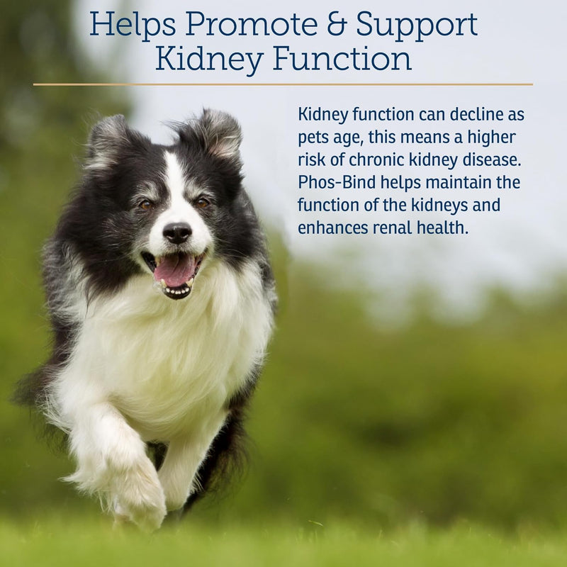 Rx Vitamins for Pets Phos-Bind for Dogs & Cats - Supports Normal Function & Health of Kidneys - 200 g Powder