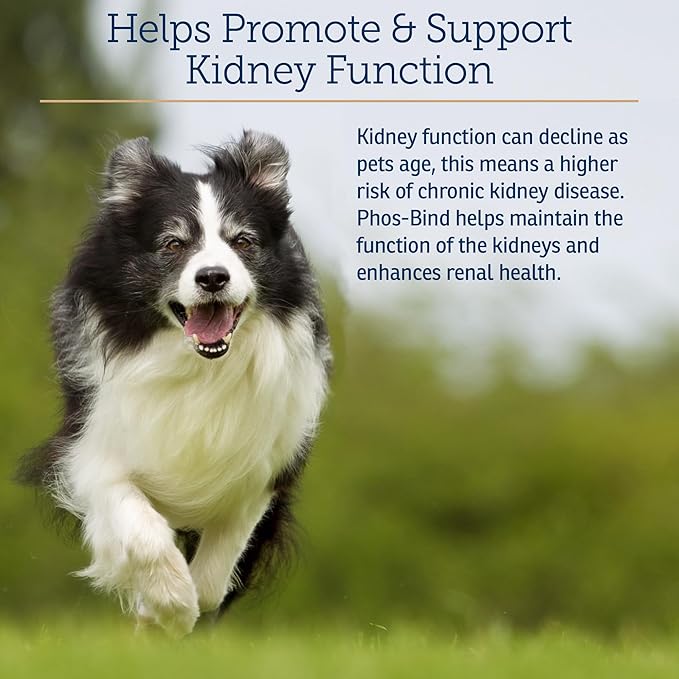 Rx Vitamins For Pets - Phos-Bind 35 gm Powder - NewNest Australia