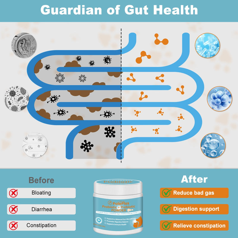 Probiotics for Dogs & Cats - 10 Billion CFU, 9 Strains Probiotic Blend, Gut Health Supplement for Small & Large Pets, 6.53oz (180g)