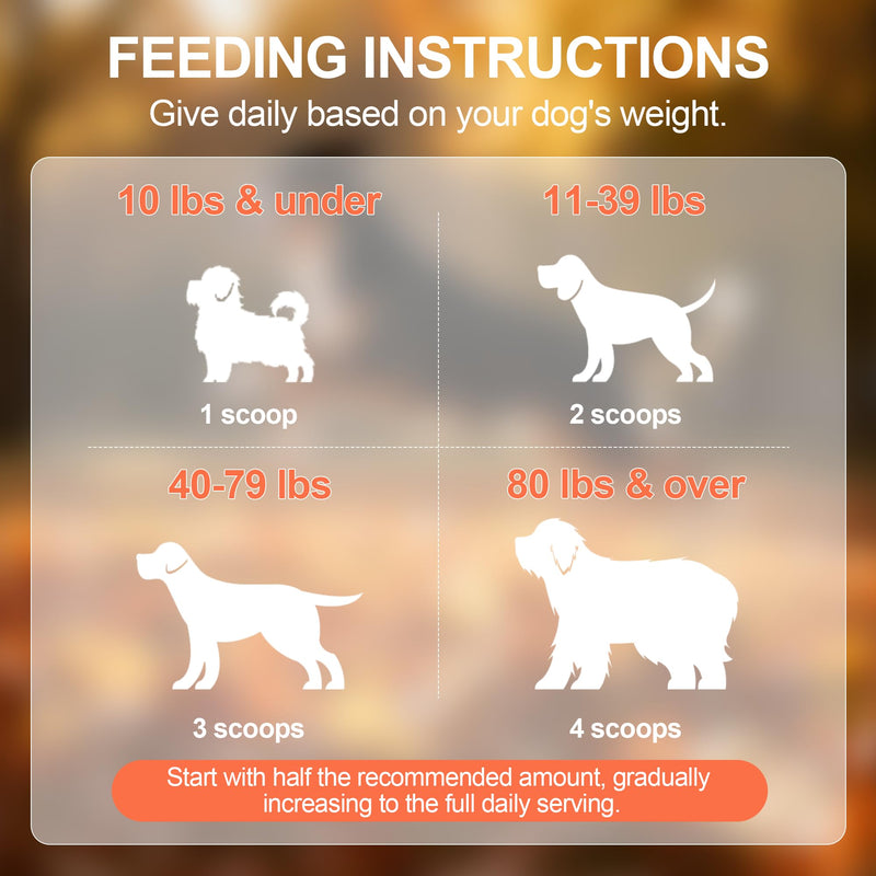 Hip and Joint Supplement Powder for Dogs Glucosamine for Dogs, Dog Arthritis Vitamins for Hip and Joint Pain Relief Contains Glucosamine Chondroitin MSM Vitamin E for All Breeds and Sizes 0.15 KG Beef