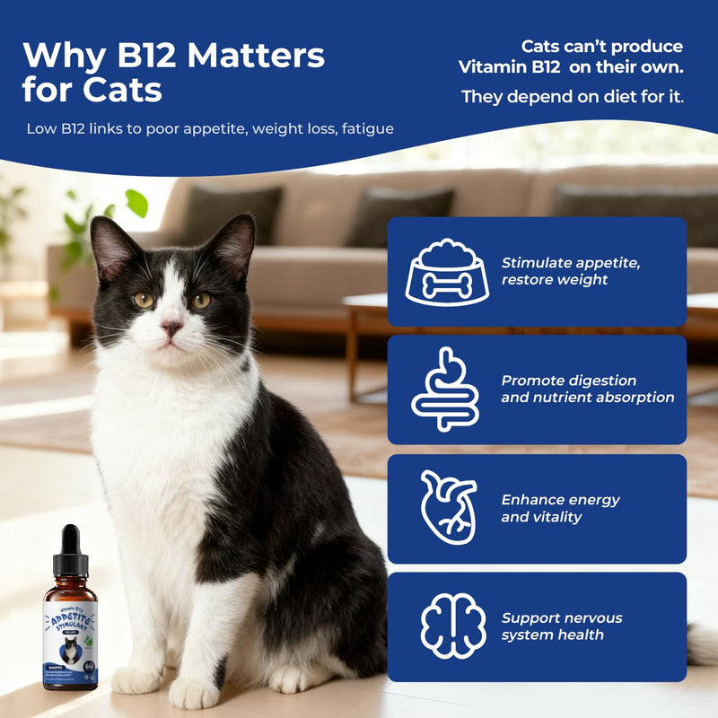 Appetite Stimulant for Cats – Liquid Vitamin B12 Drops, Methylcobalamin(Methyl B12) Cat Supplement, Boosts Appetite, Energy, Mood, Recovery - 2 fl oz (60ml)