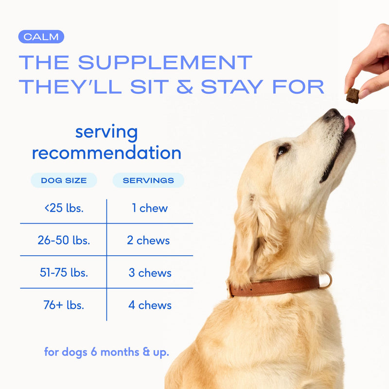 Native Pet Dog Calming Chews (60 Chews) & Organic Pumpkin for Dogs (8 oz.) - Melatonin for Small, Medium, Large Dogs and All-Natural, Organic Fiber Pumpkin Powder for Dogs