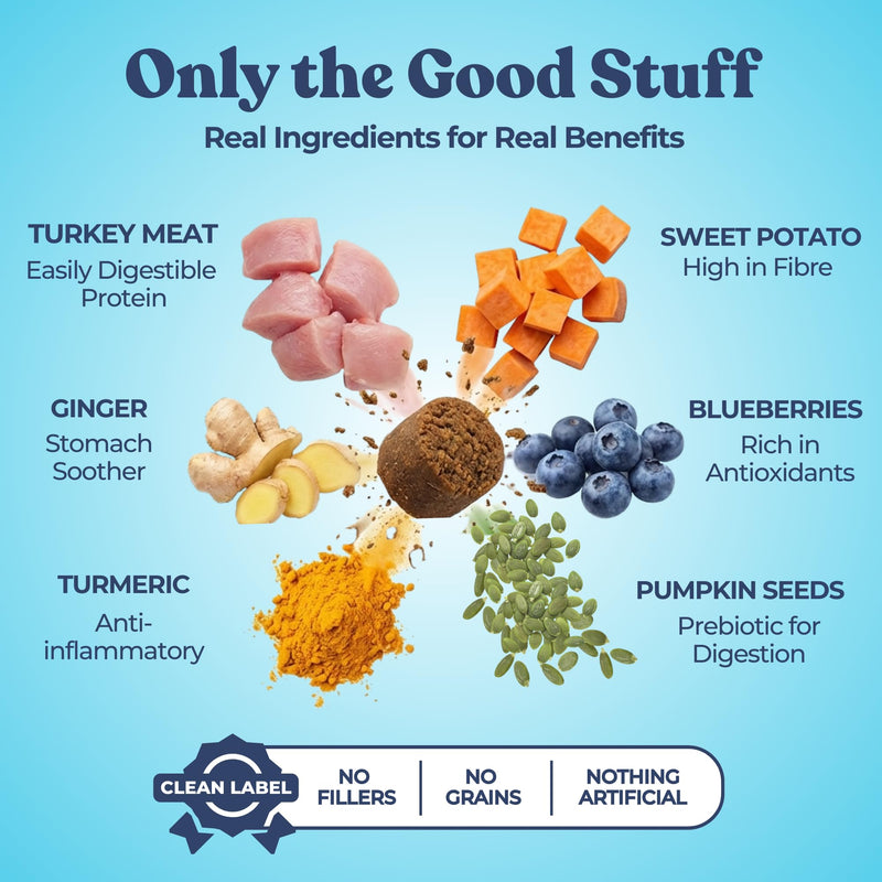 Healthybud Dog Probiotic Chews – Digestive & Gut Health Support – Prebiotic, Fiber, Pumpkin & Sweet Potato – Stool Hardener & Sensitive Stomach Relief – Made in Canada (4.6oz) 4.6 Ounce (Pack of 1)