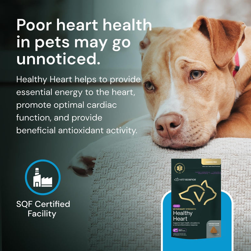 VETRISCIENCE Veterinary Strength Healthy Heart Chews - Heart & Energy Supplement for Pets - Cardiovascular Supplement - Pet Blood Flow Support - Chicken Flavor - 60 Count
