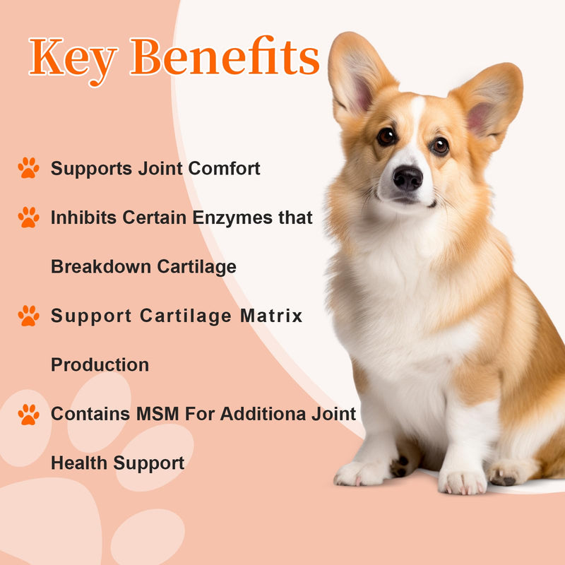 Hip and Joint Supplement Dogs with Glucasamine for Dogs, Hip Pain Relief for Small, Medium and Large Breed, Hip and Joint Chews for Dog MSM, Chondroitin 90 Count, Chicken Flavor - PawsPlanet Australia