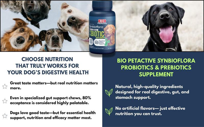 Bio PetActive Synbioflora | Probiotics&Prebiotics for Medium and Large Breed Dogs | Support Digestion,Gut and Stomach Health | Helps with Diarrhea,Gas and Constipation Relief | 60 Chews