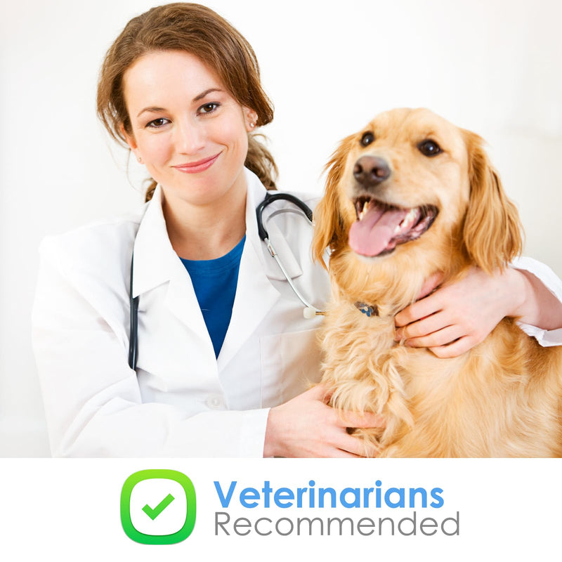 Same for Dogs and Cats - S-Adenosyl-L-Methionine, Liver Supplements for Dogs and Cats - Brain Supplement for Dogs and Cats, Promotes Cognitive Support, Liver Support Supplement Small Dogs & Cats - PawsPlanet Australia