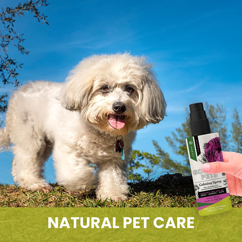 Holistic Natural Derived Calming Pet Spray for Anxiety: Providing Stress Relief: Veterinarian Recommended - Made in USA - 8 oz - PawsPlanet Australia
